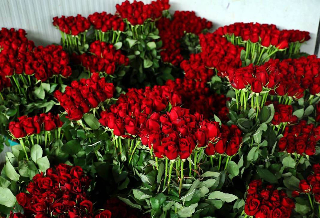 Hasat başladı, ithalat fiyatı düşürdü: Tanesi 30 TL! Özel günlerde kapış kapış satılıyor 1